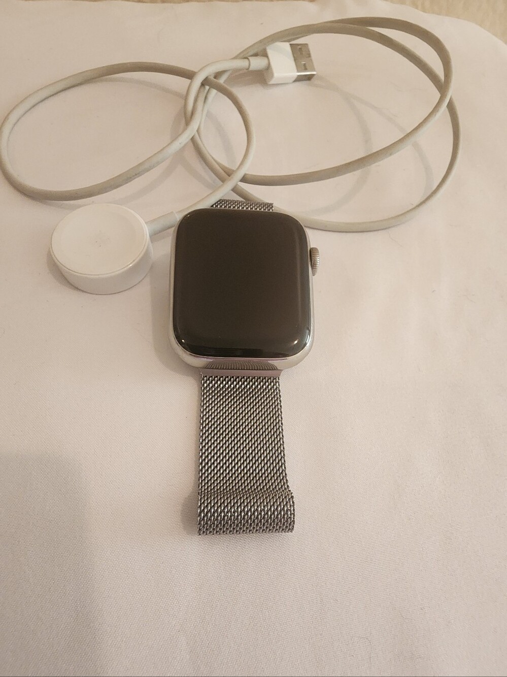 Apple Watch S8 45mm Stainless Steel Cellular + Milanese Loop & Charger